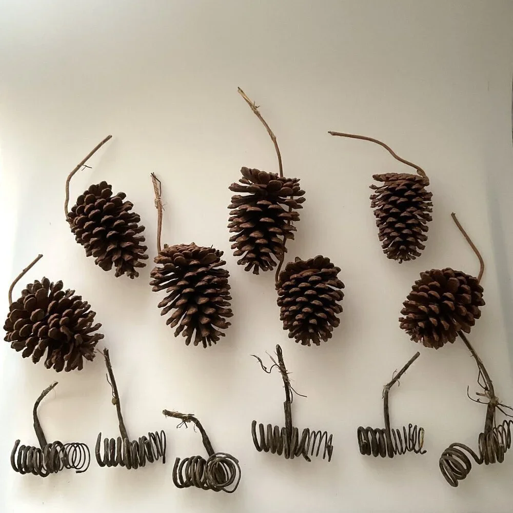 DIY PINE CONES AND CURLY TWIGS 13 COUNT